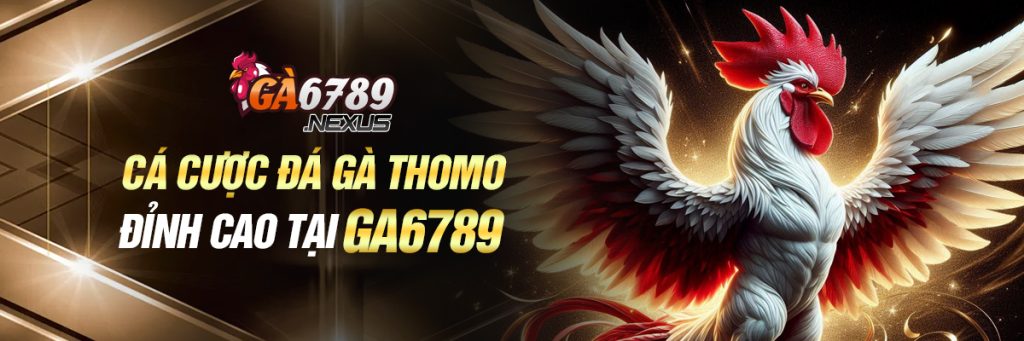 cá cược đá gà thomo đỉnh cao tại ga6789