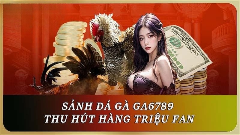 Đá gà trực tiếp thu hút đông đảo kê thủ tham gia