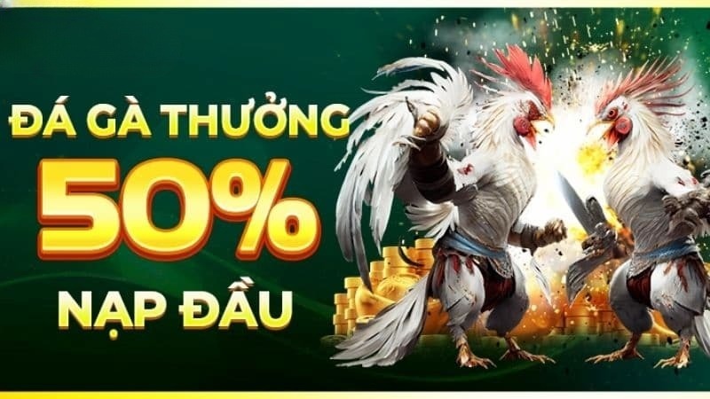 Khuyến mãi chào mừng thành viên mới