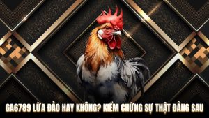 Thực hư tin đồn nhà cái GA6789 lừa đảo không?